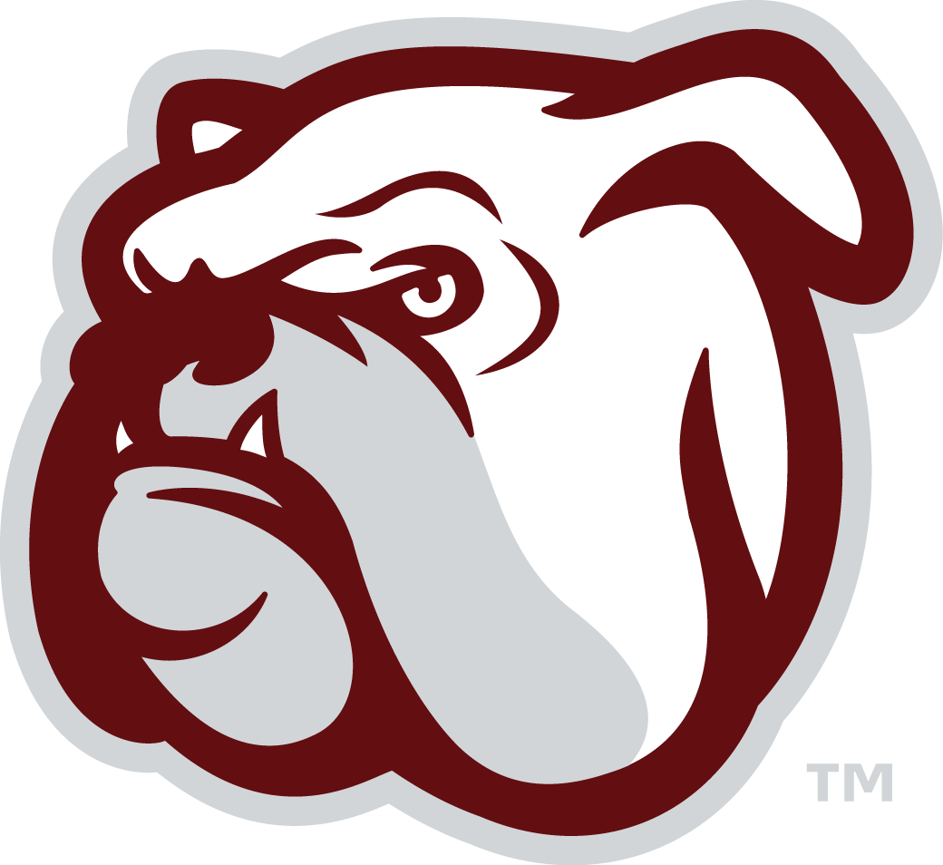 Mississippi State Bulldogs 2009-Pres Alternate Logo v6 iron on transfers for fabric